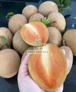 Trái Sapo Mexico chín tự nhiên