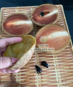 Vỏ sapo mexico khá mỏng