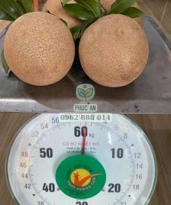 Cân nặng trung bình của trái sapo mexico