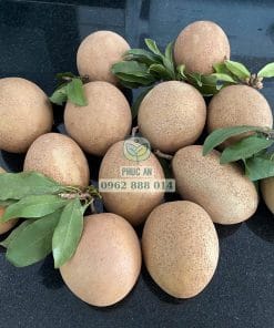 Trái Sapo Mexico có dạng tròn và trứng ngỗng