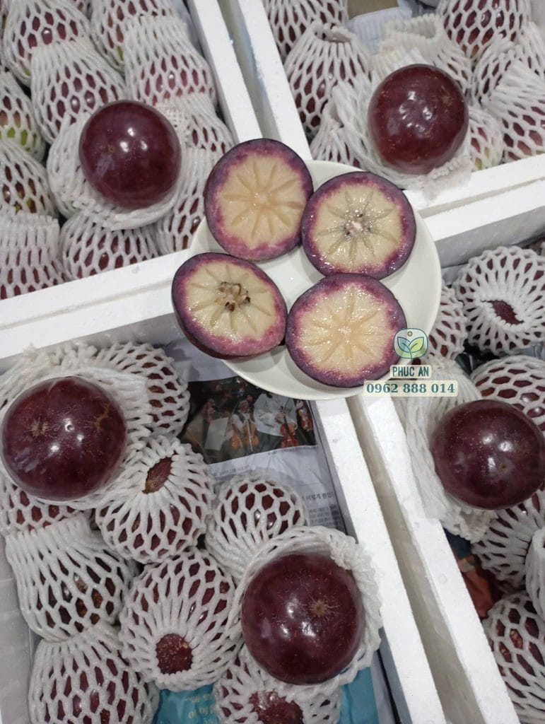 Thịt trái vú sữa mica dày dặn không mủ và vị ngọt thanh từ Phúc An