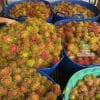 Hình ảnh trái chôm chôm Thái tươi ngon vừa thu hoạch tại vườn