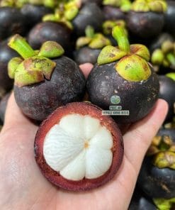 Múi măng cụt Thái trắng muốt không lép hạt cực ngon Phúc An