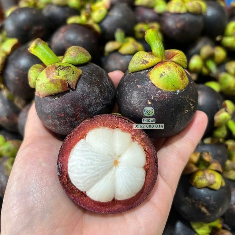 Múi măng cụt Thái trắng muốt không lép hạt cực ngon Phúc An