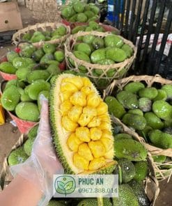Múi mít tố nữ dày cơm hạt nhỏ ngọt lịm từ Cây Giống Phúc An