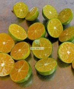 Cận cảnh trái tắc không hạt bổ đôi lộ phần ruột mọng nước hoàn toàn không có hạt tại Cây Giống Phúc An