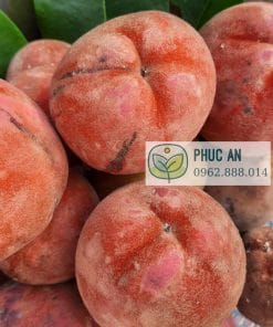 Cận cảnh trái Đào Hồng Nhung vỏ mịn như nhung chín mọng Phúc An