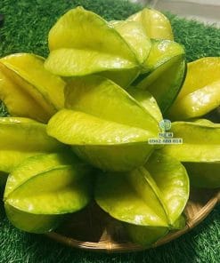 Hình ảnh những trái khế ngọt đạt trọng lượng thu hoạch từ cây giống tuyển chọn tại Phúc An