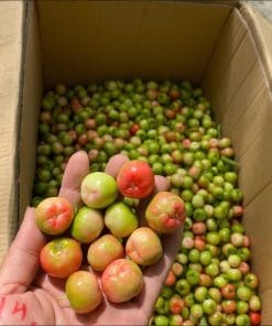 Cận cảnh trái sơ ri