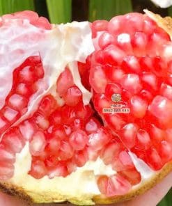 Quả lựu Thái bổ đôi lộ hạt đỏ mọng tại vườn Phúc An