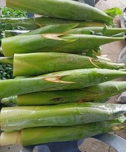 Thu hoạch bắp chuối hột