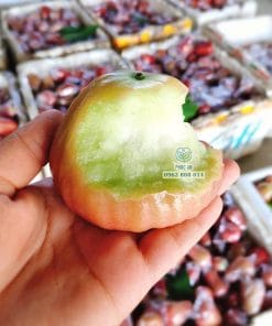Hình ảnh trái mận hồng đào đá đỏ mọng nước tại Phúc An