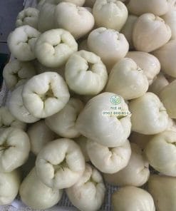 Niềm vui thu hoạch trái mận trắng sữa ngon năng suất cao cùng Phúc An