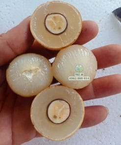 Cận cảnh trái nhãn Long Phụng Châu bóc vỏ lộ phần cơm dày dặn ít hạt