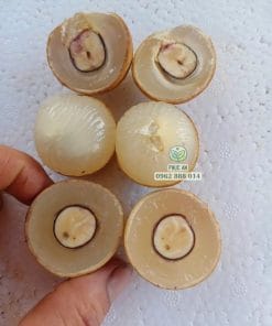 Bóc vỏ trái nhãn Long Phụng Châu thơm ngon sớ thịt trắng muốt tại Phúc An