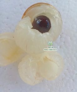 Cơm nhãn Long Phụng Châu dày cơm hạt nhỏ cực kỳ chất lượng Phúc An