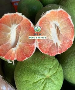 Bưởi da xanh đạt