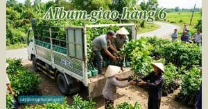 Them noi dung van ban 3