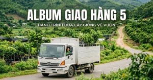 Thiet ke chua co ten