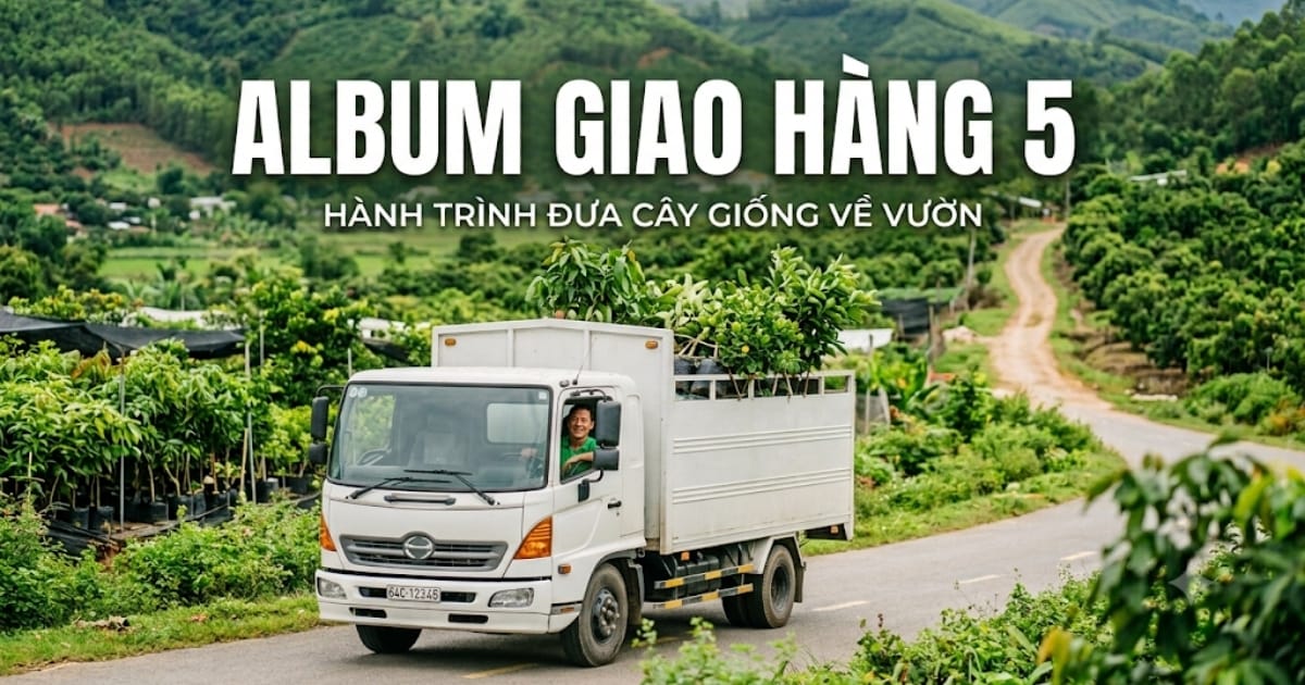 Thiet ke chua co ten