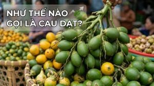 Thị trường cau 2026: Thế nào gọi là cau đạt - cau phế?