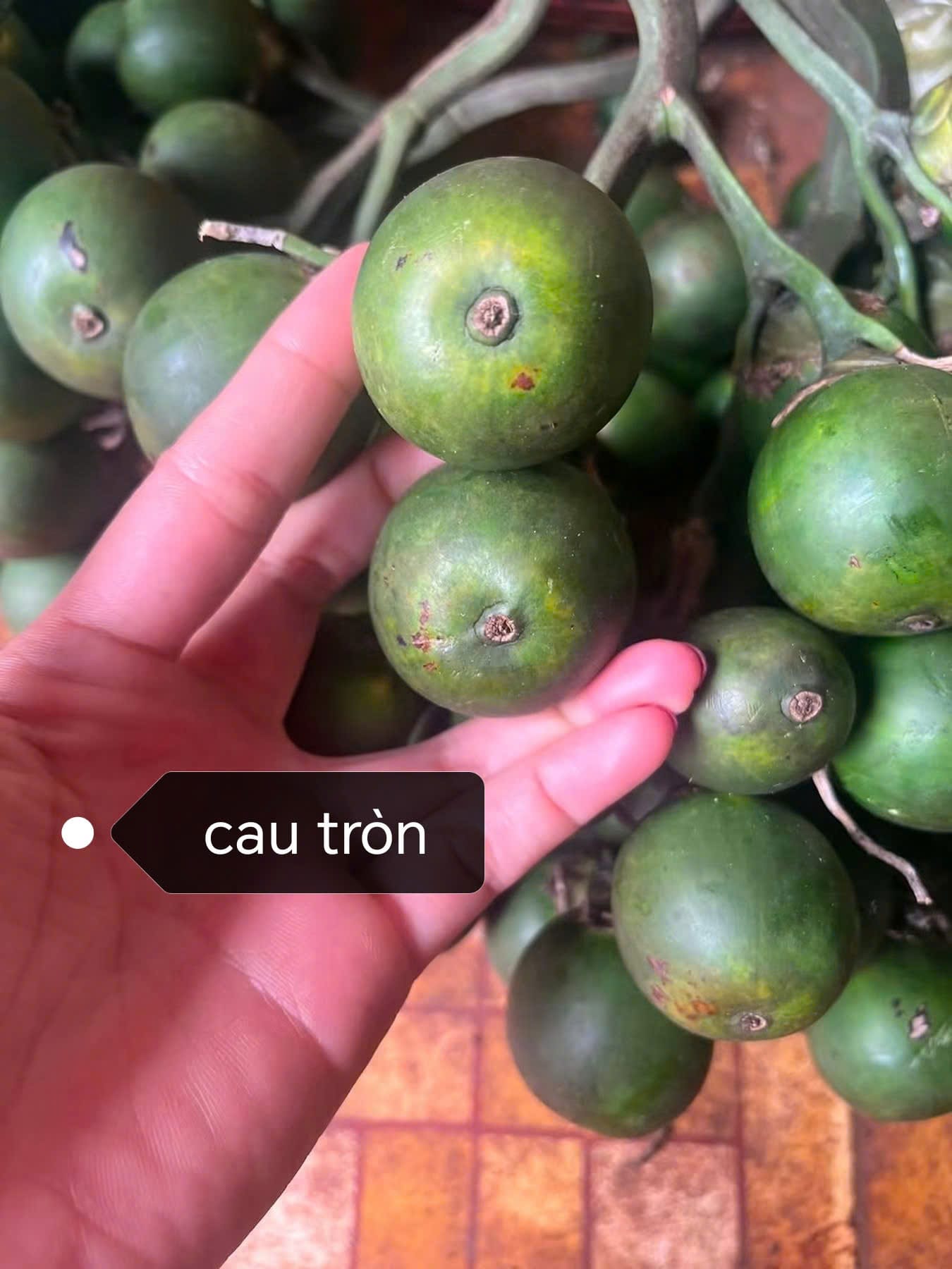 Mẫu cau không đạt, bán giá thấp hơn. Gọi là cau phế